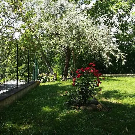 Hotel Da Marisetta A